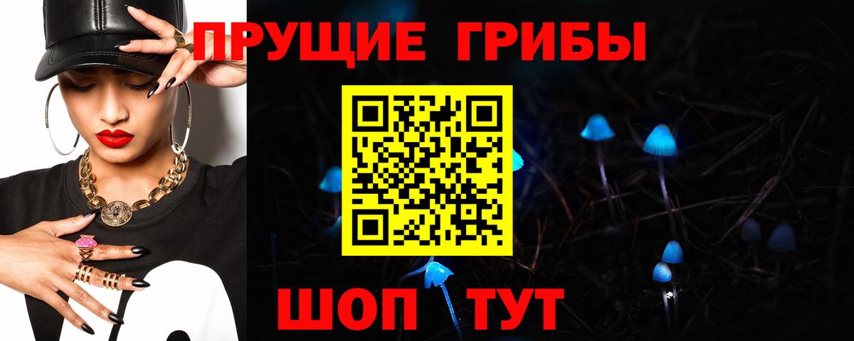 Людиново  Псилоцибиновые грибы MAGIC MUSHROOMS  Вход с VPN 