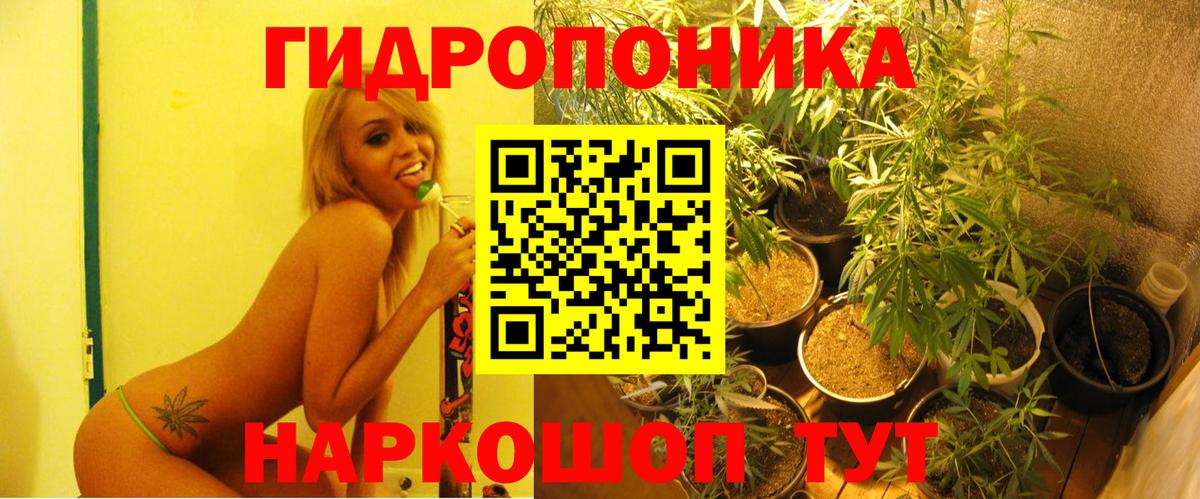 Канабис планчик Людиново